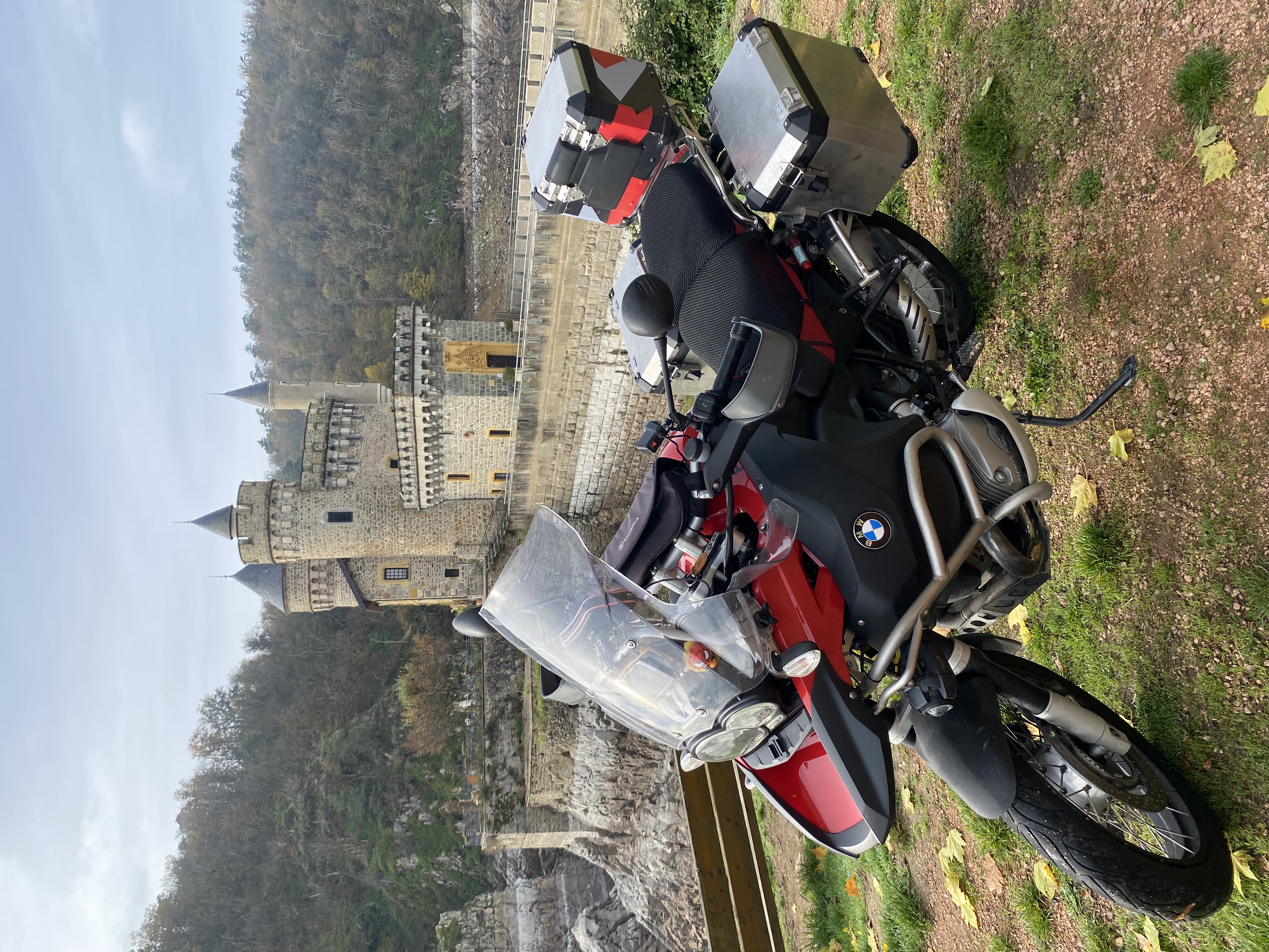 Preuve photo de perruche